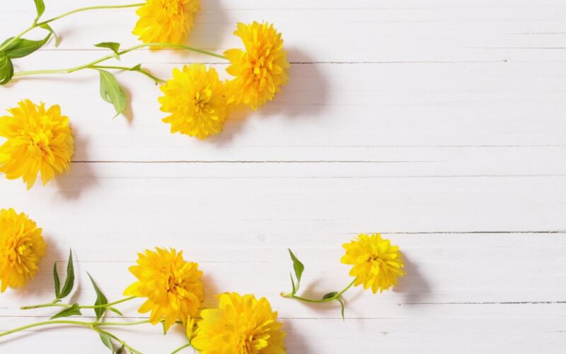 Yellow flowers on wood