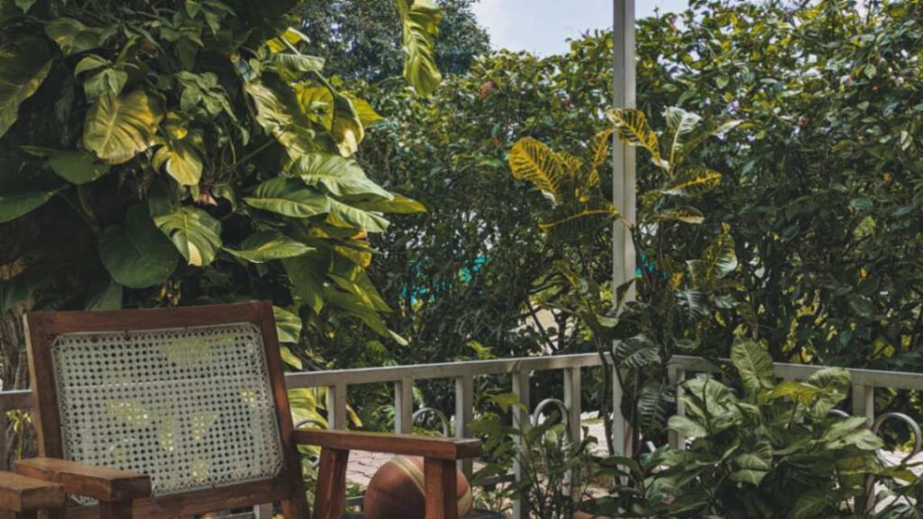 balcony garden 2