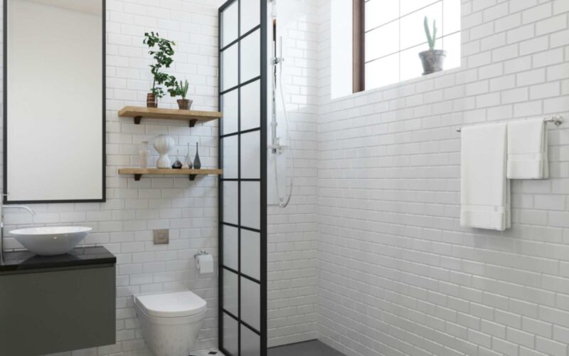 Shower without doors